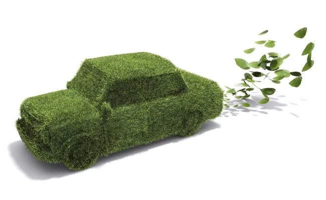 eco friendly